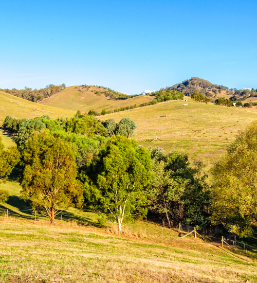 Shaping the future of rural areas