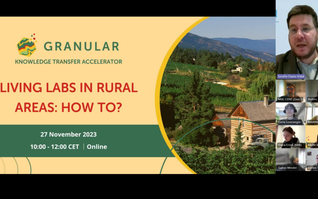 “Living Labs in Rural Areas: How To?”, real-life cases at GRANULAR’s webinar 