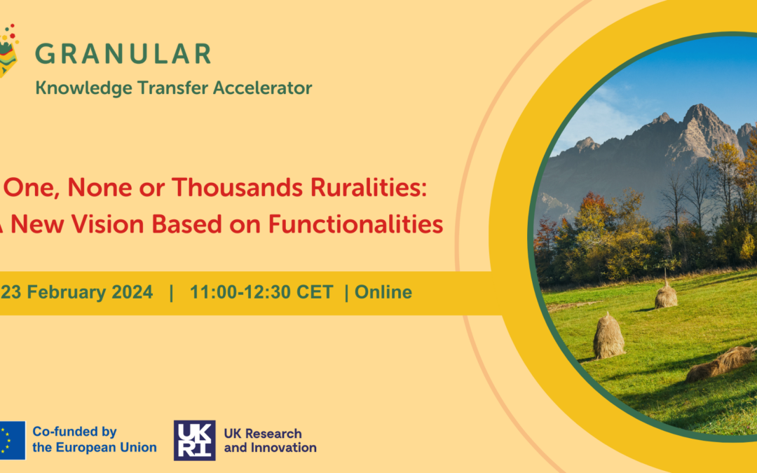 One, None, Thousands Ruralities: A New Vision Based on Functionalities 
