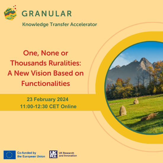 One, None or Thousands Ruralities: A New Vision Based on Functionalities