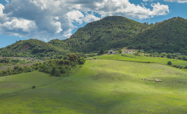 Data Collection in the Italian Living Lab of Val di Cecina