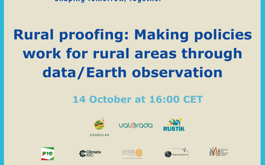 Rural proofing: Making policies work for rural areas through data/Earth observation