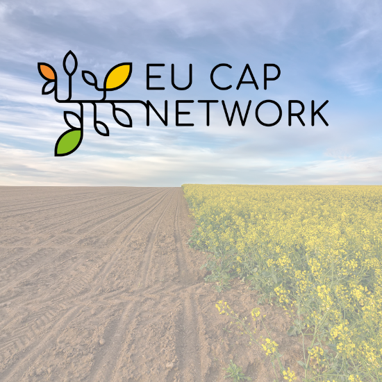 EU CAP Network Seminar: Delivering the CAP today and beyond