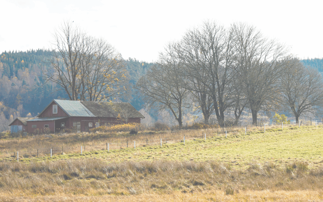 Housing prices and rural attractiveness: case study from Czechia 