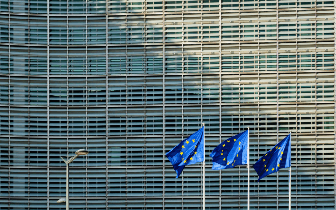 GRANULAR’s assesses what is still missing in the next Multiannual Financial Framework (MFF) 