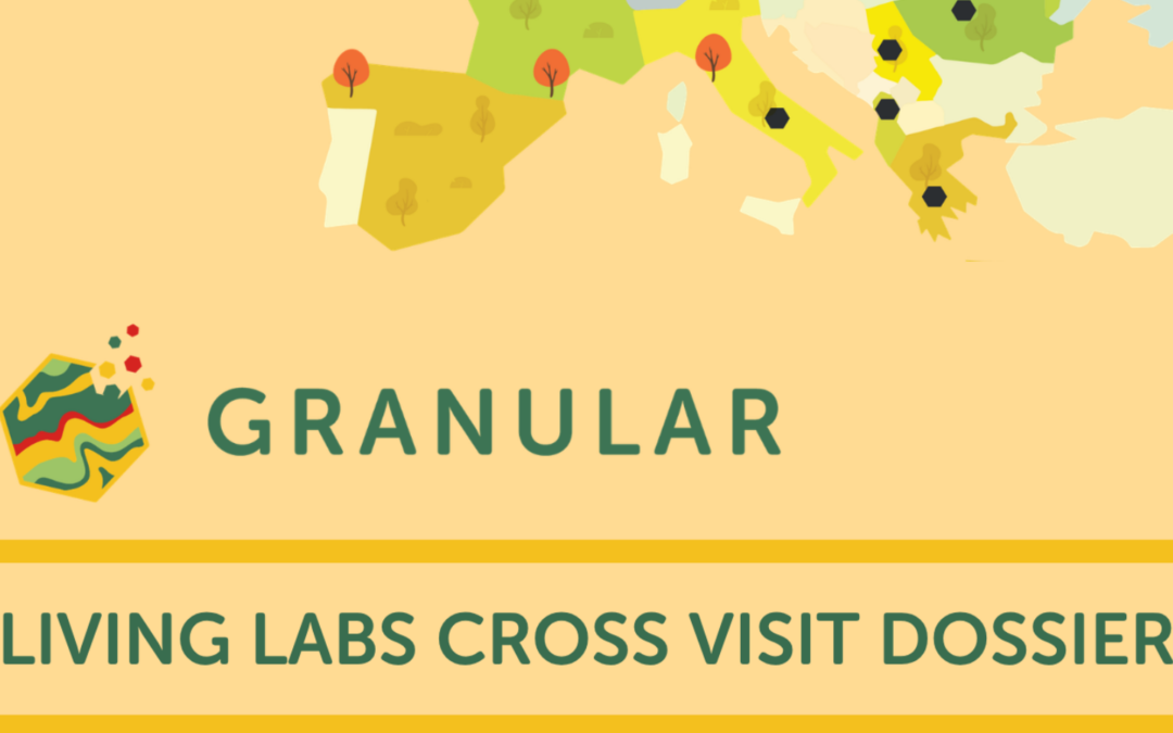 GRANULAR releases Multi-Actor Labs cross-visit dossiers from across Europe