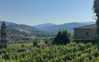 Who Does What in Rural Proofing? 