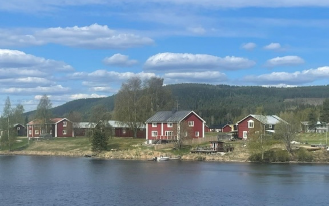 Regional Voices on the Green Transition