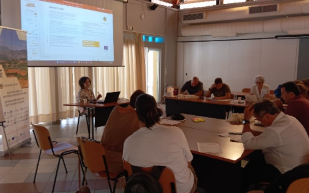 Rural Chania: Lessons from the Digital Decade 2030 Rural Proofing Workshop